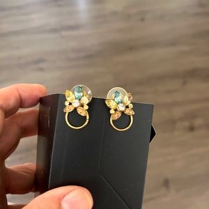 Stunning earrings pierced new flowers